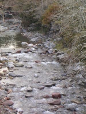 20080415233501-varios-141.jpg