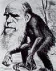 20110119140626-images.jpg